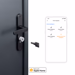Netatmo NDL Serratura e Chiavi Intelligente