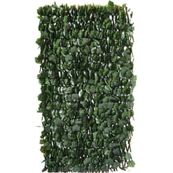 Habitat Et Jardin - Recinzione a traliccio di salice Fragon - 200 x 100 cm - Verde
