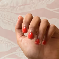 All Tigers Vernis à ongles 206 Earn Your Stripes 11 ml - Vista aggiuntiva 3
