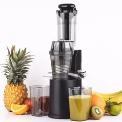 H.Koenig GSX16 spremiagrumi Estrattore di succo 250 W Nero, Acciaio inox - Vista aggiuntiva 5