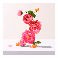 Crema corpo alla Rosa 250 ml