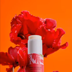 Gingembre Rouge profumo solido benessere 5 gr - Vista aggiuntiva 2