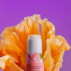 Fleur De Figuier profumo solido di benessere 5 gr - Vista aggiuntiva 2