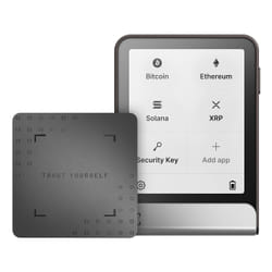 Ledger Flex Grigio