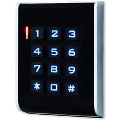 SEN4130085 - CodeAccess a - Tastiera di codifica per controllare e proteggere gli ingressi e le uscite della tua casa, grigio, 1 pz - Scs Sentinel