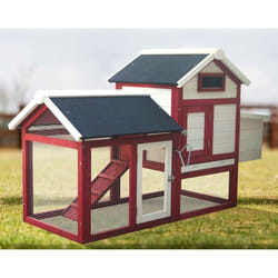 Casetta per galline pollaio Foresta in legno bicolore 152x62 Foresta