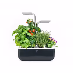 Véritable SMART