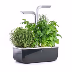 Véritable SMART giardinaggio Nero