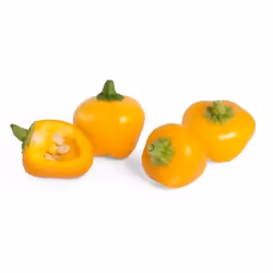 Véritable 3760262510613 ricarica e kit di crescita Peperone giallo