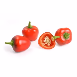 Véritable 3760262511191 ricarica e kit di crescita Peperone rosso - Vista aggiuntiva 2