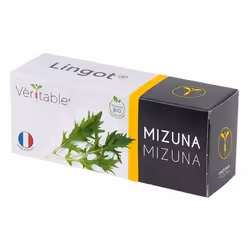Véritable 3760262511276, Pianta commestibile, Mizuna, Ricarica, Coltivatore rapido (3-5 settimane), 7 giorno(i), 2 - 3 mese(i ...