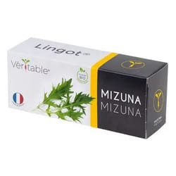 Véritable 3760262511276 ricarica e kit di crescita Mizuna