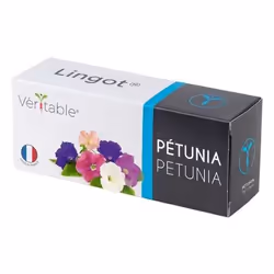 Véritable 3760262511412, Pianta ornamentale, Petunia, Ricarica, Coltivatore rapido (3-5 settimane), 7 - 14 giorno(i), 4 - 5 m ...