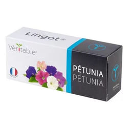 Véritable 3760262511412 ricarica e kit di crescita Petunia