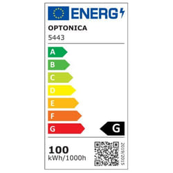 OPTONICA LED FL100-A1 G