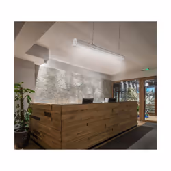 Plafoniera LED Lineare A Sospensione Master 50W 150cm Doppia Lente Asimmetrica 4000K IP20 Dimmerabile SKU-1362 - Vista aggiuntiva 4