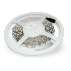 Striscia SMD5050 60 led/m bianco freddo IP20 6400K - Luce fredda