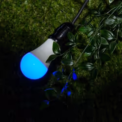 Shelly DUO RGBW Lampadina intelligente Wi-Fi 9 W - Vista aggiuntiva 5