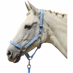 Capezza modello Stars Economy in nylon regolabile Marca: HKM Taglie: Pony, Cob, Full, Extra Full Colori: blu scuro, rosso, ro ...