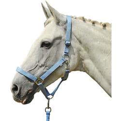 Capezza in nylon regolabile modello Stars Economy: Pony, Rosso 3000