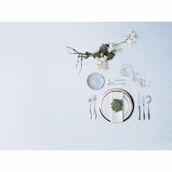 WMF Premiere 1119916340 set di posate 30 pz Acciaio inox - Vista aggiuntiva 6