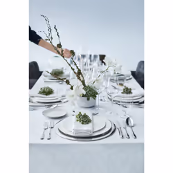 WMF Premiere 1119916340 set di posate 30 pz Acciaio inox - Vista aggiuntiva 7