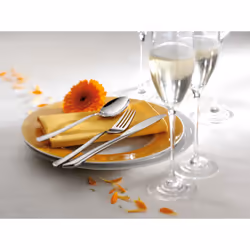 WMF Virginia 1142006391 set di posate 66 pz Acciaio inox - Vista aggiuntiva 7