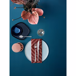 WMF Corvo 1158006331 set di posate 66 pz Acciaio inox - Vista aggiuntiva 5