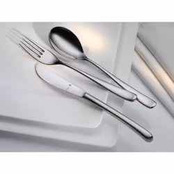 WMF Vision 1271006331 set di posate 66 pz Acciaio inox - Vista aggiuntiva 4