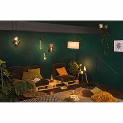 Paulmann 286.79 lampada LED Bianco caldo 2700 K 6,5 W E27 F - Vista aggiuntiva 2