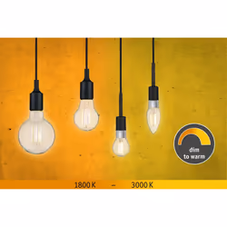 Paulmann 28776 lampada LED 7 W E27 E