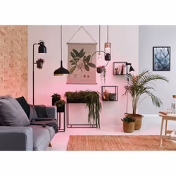 Paulmann 28974 luce per la coltivazione delle piante Luce a LED - Vista aggiuntiva 4