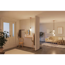 Paulmann 29077 lampada LED Bianco caldo 3000 K 4,3 W E27 F