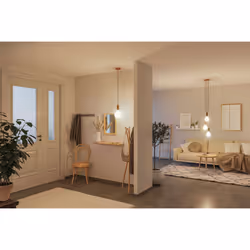 Paulmann 29078 lampada LED Bianco caldo 3000 K 4,3 W E27 F - Vista aggiuntiva 2