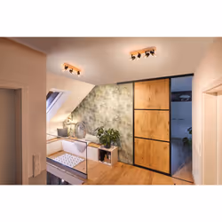 Paulmann 66773 faretto Faretto d'illuminazione da superficie E27 LED 80 W - Vista aggiuntiva 5