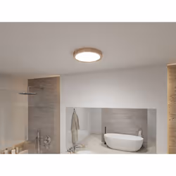 Paulmann Tega illuminazione da soffitto LED 22,5 W F - Vista aggiuntiva 6