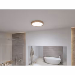 Paulmann Tega illuminazione da soffitto LED 22,5 W F - Vista aggiuntiva 7