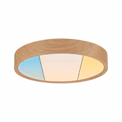 Paulmann Tega illuminazione da soffitto LED 22,5 W F - Vista aggiuntiva 8