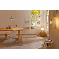 Paulmann 796.51 lampada da tavolo E14 Rame, Verde