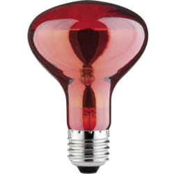 Paulmann - Lampada a infrarossi E27 60 w (ø x l) 80 mm x 115 mm 230 v 1 pz.