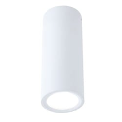 Paulmann Barrel illuminazione da soffitto LED 6 W G