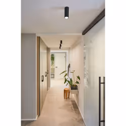 Paulmann Barrel illuminazione da soffitto LED 6 W G - Vista aggiuntiva 5