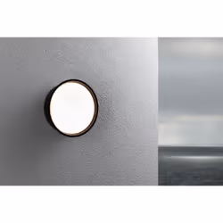 Paulmann 94696 illuminazione da esterno Illuminazione a parete/soffitto da esterno Lampadina/e non sostituibile/i LED 14,5 W E - Vista aggiuntiva 4