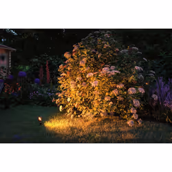 Paulmann 94729 illuminazione da esterno Illuminazione a pavimento da esterno GU10 LED 6,3 W F - Vista aggiuntiva 4