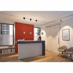 Paulmann 951.50 Adattatore per luce a sospensione