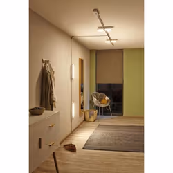 Paulmann 953.19 Faretto per illuminazione ferroviaria LED - Vista aggiuntiva 6
