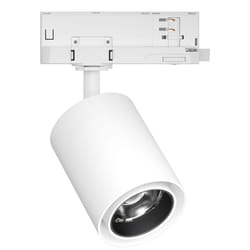 Paulmann Kratos Faretto per illuminazione ferroviaria LED 20 W D