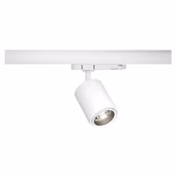 Paulmann 96565, Faretto per illuminazione ferroviaria, Lampadina/e non sostituibile/i, 1 lampadina(e), LED, 10 W, 4000 K