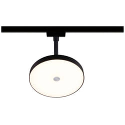 Paulmann - Hildor Faretto da binario a led URail 15 w Nero (opaco)