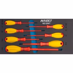 Safety-Insert-System HAZET (SIS) Safety-Insert-System, alloggiamento in espanso morbido bicomponente Superficie: con isolamen ...